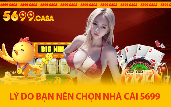 Lý Do Bạn Nên Chọn Nhà Cái 5699